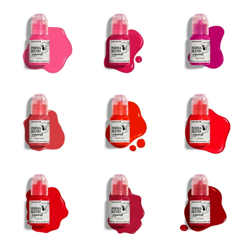 Perma Blend Pigments Ink Tatto - огляд і ціна Skincare Queen